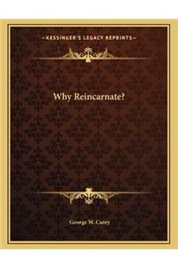 Why Reincarnate?