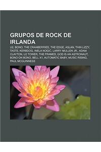 Grupos de Rock de Irlanda