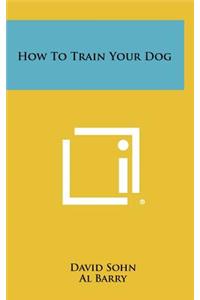 How to Train Your Dog