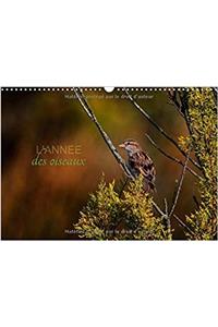 L'Annee Des Oiseaux 2017