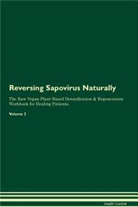 Reversing Sapovirus Naturally the Raw Vegan Plant-Based Detoxification & Regeneration Workbook for Healing Patients. Volume 2