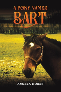 Pony Named Bart