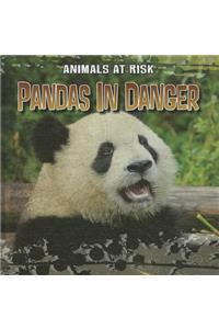 Pandas in Danger