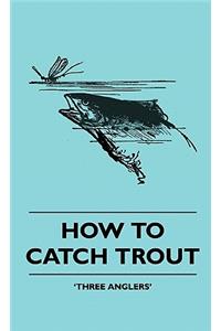 How to Catch Trout