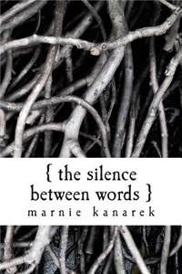 The Silence Between Words