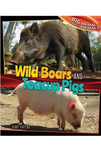 Wild Boars and Teacup Pigs