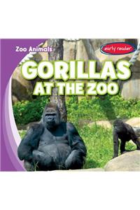 Gorillas at the Zoo