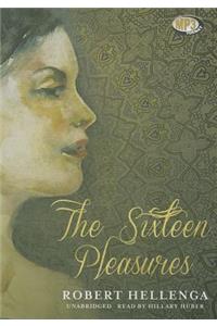 Sixteen Pleasures