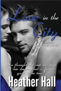 Love in the City, an erotic romance novel