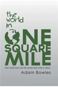 World in One Square Mile