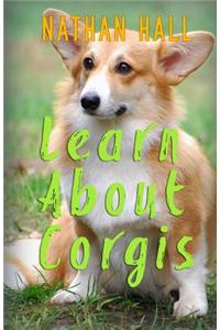 Learn About Corgis