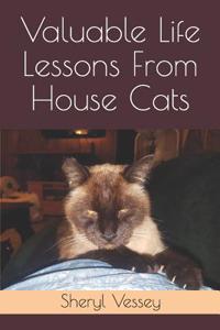 Valuable Life Lessons from House Cats