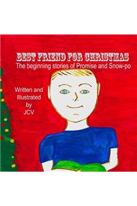 Best Friend for Christmas: The Beginning Stories of Promise and Snow-Po