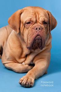 Password Notebook: Medium-Size Internet Address and Password Logbook / Journal / Diary - French Mastiff Cover