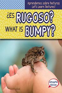 ¿Es Rugoso? / What Is Bumpy?