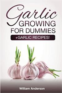 Garlic Growing for Dummies: + Garlic Recipes!