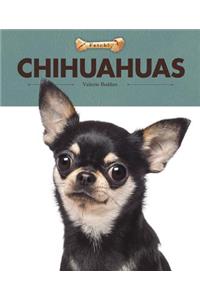 Chihuahuas