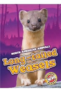 Long-Tailed Weasels