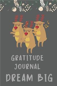 Gratitude Journal Dream Big