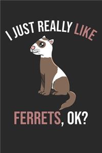 I Just Really Like Ferrets, OK?: DIN A5 Frettchen Notizheft leer - 120 Seiten leeres Frettchen Notizbuch für Notizen in Schule, Universität, Arbeit oder zuhause. - Eine tolles Gesch