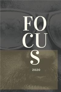 Focus 2020