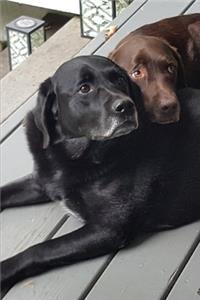 2020 Weekly Planner Black Lab Chocolate Lab Dogs Labrador Snuggle 134 Pages