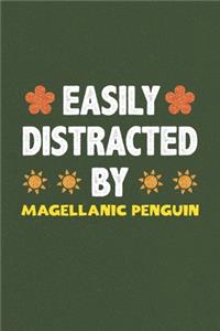 Easily Distracted By Magellanic Penguin