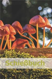 Schießbuch