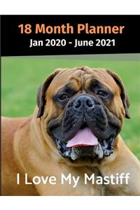 Jan 2020 - June 2021 18 Month Planner