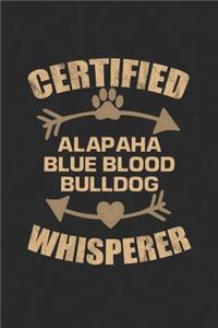 Certified Alapaha Blue Blood Bulldog Whisperer