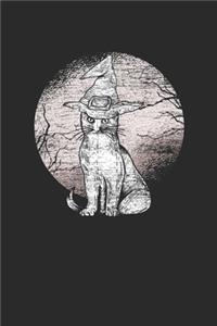 Cat Witch