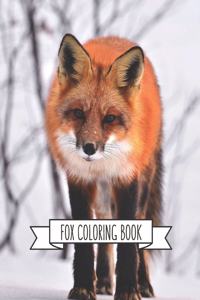 Fox Coloring Book