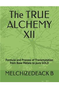 The TRUE ALCHEMY XII