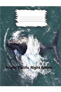 North Pacific Right Whale collegeruledlinepaper Composition Book