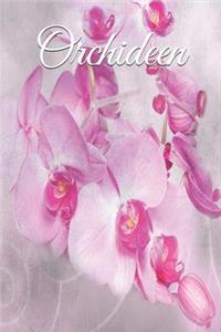 Orchideen