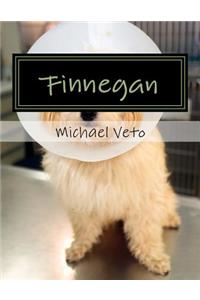 Finnegan