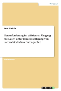 Herausforderung im effizienten Umgang mit Daten unter Berücksichtigung von unterschiedlichen Datenquellen