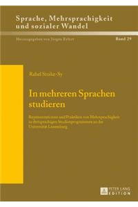 In mehreren Sprachen studieren; Reprasentationen und Praktiken von Mehrsprachigkeit in dreisprachigen Studienprogrammen an der Universitat Luxemburg
