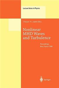 Nonlinear Mhd Waves and Turbulence