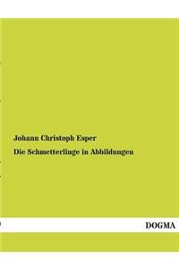 Schmetterlinge in Abbildungen