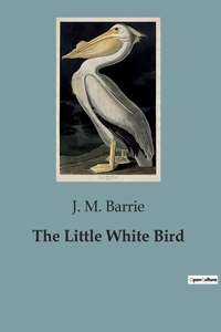 Little White Bird