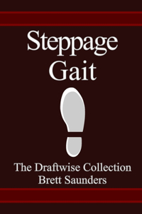 Steppage Gait