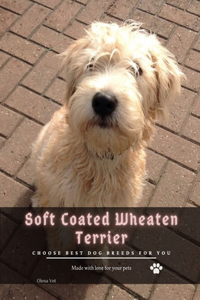 Soft Coated Wheaten Terrier