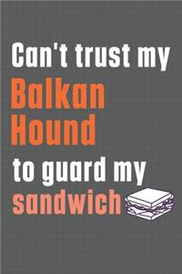 Can't trust my Balkan Hound to guard my sandwich
