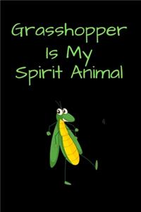 Grasshopper Is My Spirit Animal
