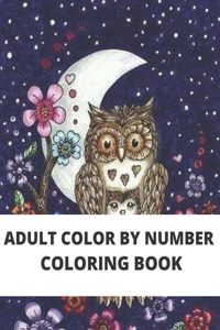 Adult Color By Number Coloring Book