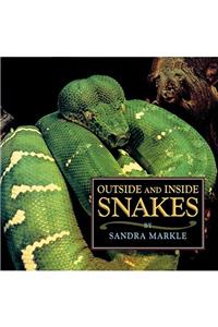 Outside and Inside Snakes