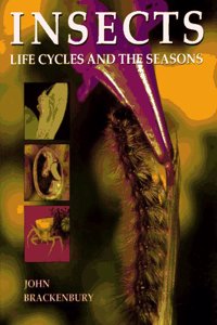 Insects: Life Cycles and the Seasons