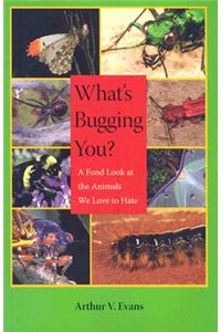 What's Bugging You?