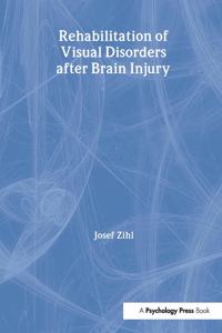 Rehabilitation of Visual Disorders after Brain Injury